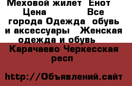 Меховой жилет. Енот. › Цена ­ 10 000 - Все города Одежда, обувь и аксессуары » Женская одежда и обувь   . Карачаево-Черкесская респ.
